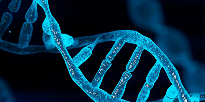 Better understanding of DNA folding with 'Directing cohesin' project