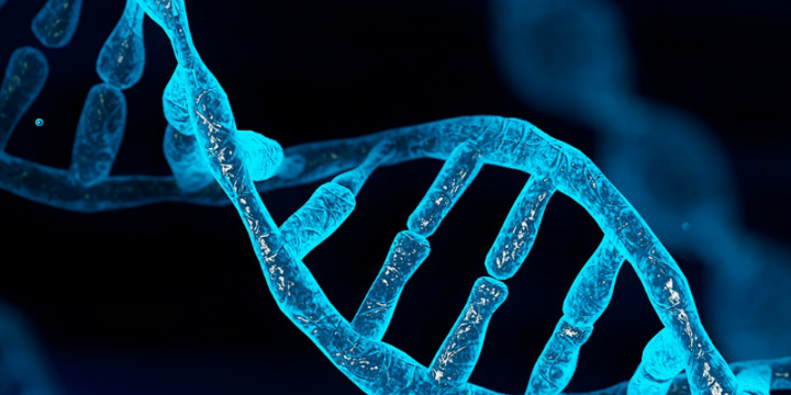 Beter begrip van DNA-vouwing met project ‘Directing cohesin'