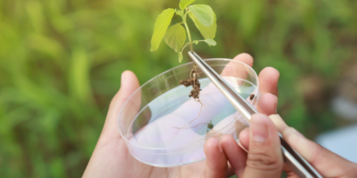 Funding for research project on physical experimental environments