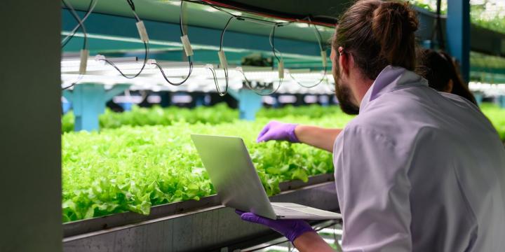 Vooraankondiging: AI in landbouw, horticultuur, water en voedsel (KIC)