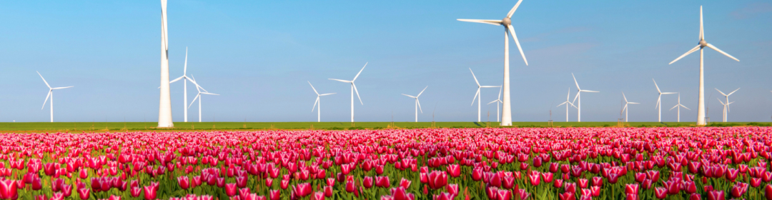 Mindere score zet Nederlandse positie als EU Innovatieleider onder druk