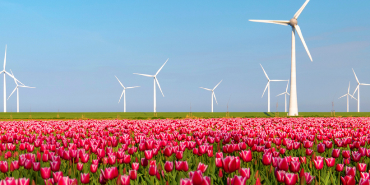 Lower score puts pressure on the Netherlands' position as EU innovation leader