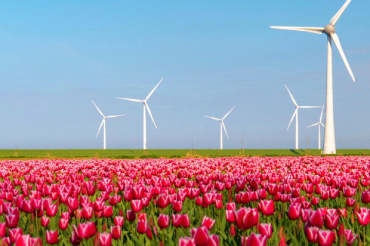 Mindere score zet Nederlandse positie als EU Innovatieleider onder druk
