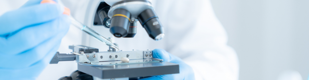 The Netherlands in 2040 in global leadership group in innovation and application of biotechnology
