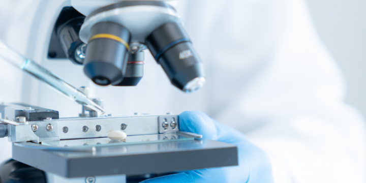 Nederland in 2040 in mondiale kopgroep innovatie en toepassing biotechnologie