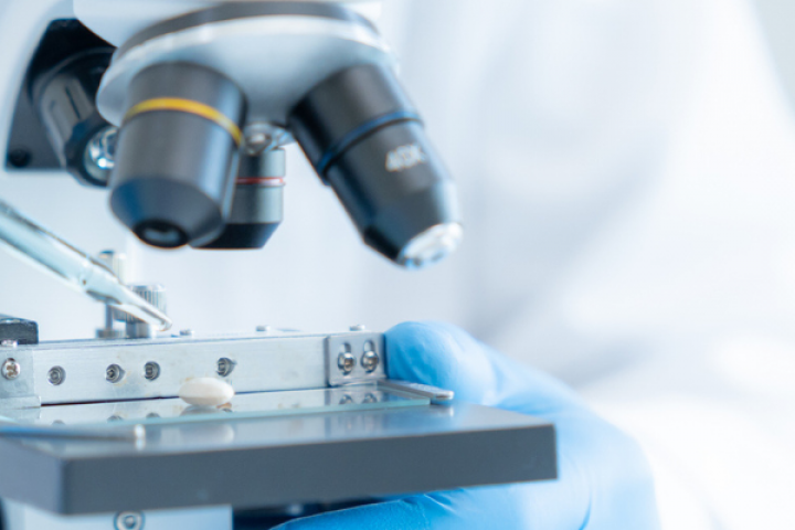 The Netherlands in 2040 in global leadership group in innovation and application of biotechnology