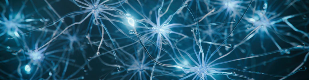 Neuromorphic computing: de hersenen als blauwdruk voor duurzame en slimme chips