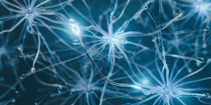 Neuromorphic computing: de hersenen als blauwdruk voor duurzame en slimme chips